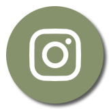 Instagram  Icon